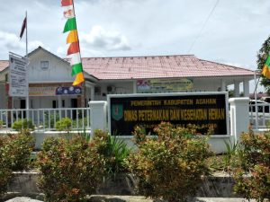 Kejari Asahan Selidiki Dugaan Korupsi Pengadaan Sapi di Dinas Peternakan