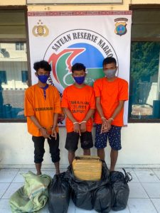Bawa 30 Kg Ganja, 3 Warga Percut Dicokok Polres Taput