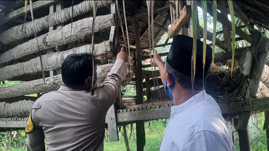 Bunuh diri