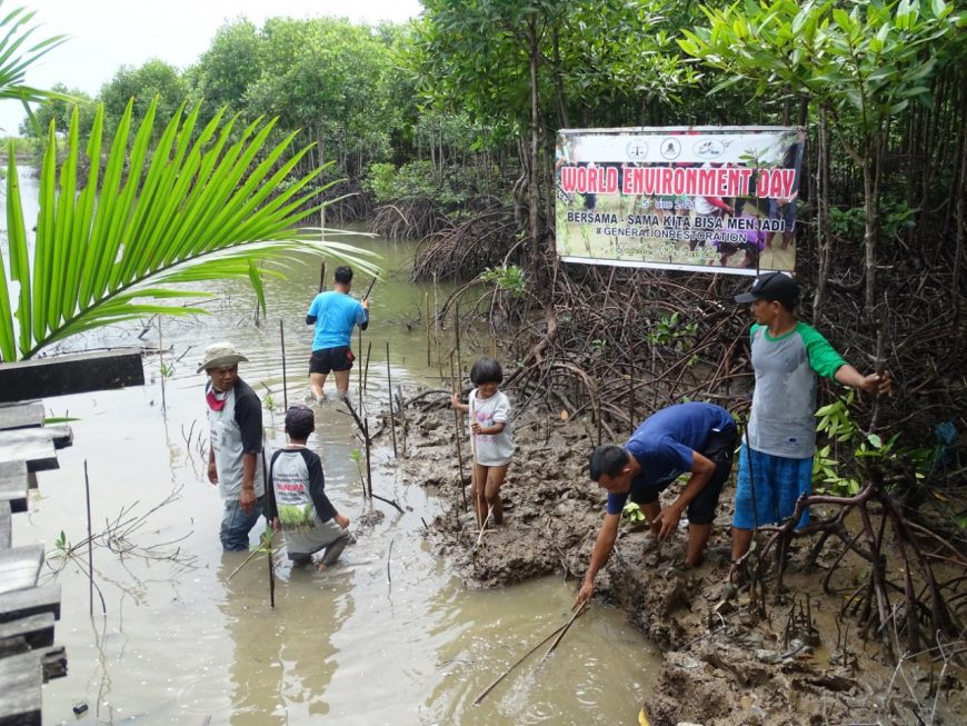 Peringati WED, LSM Bale Jurong Tanam 1.000 Batang Magrove