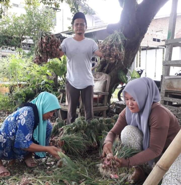 Tanam Bawang Untuk Bantu Warga 2 IMG 20210611 WA0115