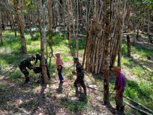 Anggota Satgas Belajar Menyadap Getah Karet Bersama Warga