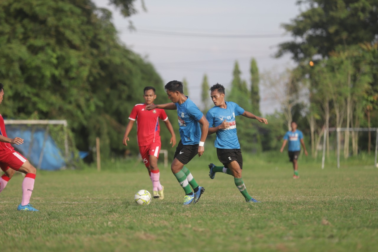 PSMS