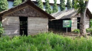 Brigif 7/RR Galakkan Toga dan Rumah Jamur