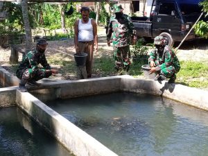 Anggota Satgas TMMD ke 111 Tinjau Tempat Pembibitan Ikan Milik Warga