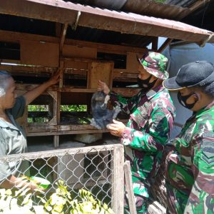 Anggota Satgas Belajar Beternak Kelinci Bersama Warga