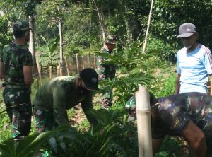 Anggota Satgas TMMD/N ke-111 Gali Potensi Budidaya Porang