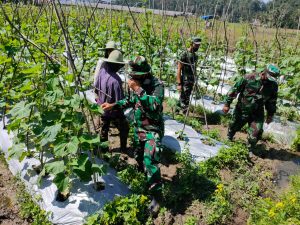 Anggota Satgas TMMD Sambangi Kebun Timun Milik Warga