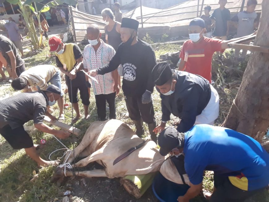 Perayaan Idul Adha, Musholah Ar-Rahman Mabar Hilir Potong 20 Hewan Qurban