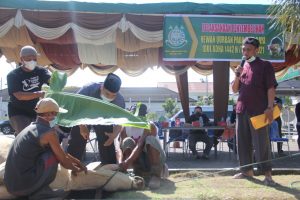 Kejati Sumut Salurkan Hewan Kurban 9 Sapi dan 2 Kambing