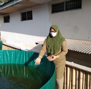 Manfaatkan Brandgang, Rutan Perempuan Medan Budidaya Ikan