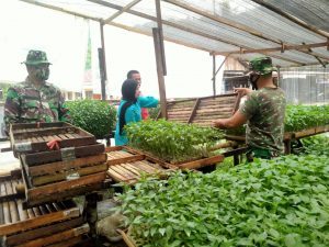 Anggota Satgas TMMD/N ke 111 Menimba Ilmu Bersama Petani Cabai