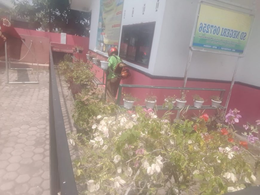 Geger! Ular Piton Berukuran 3 Meter Ditemukan Dalam Sekolah 2 ular