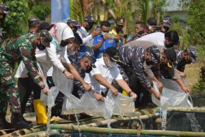 Peningkatan Kampung Bahari Nusantara, Danlantamal I Tanam 8000 Mangrove dan Tabur 10000 Bibit Ikan Siakap