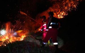45 Hektare Lahan di Kawasan Danau Toba Ranap Terbakar