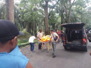 Mayat Wanita Ditemukan di Parit Titi Penceng Perkebunan PTPN-II