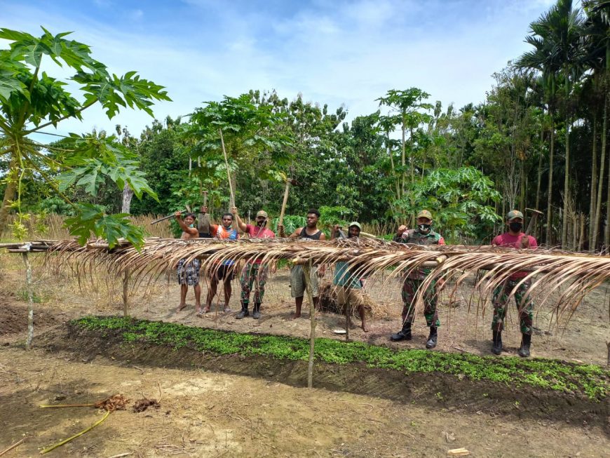 TNI dan Masyarakat Manfaatkan Lahan Kosong Menanam Sayuran di Papua