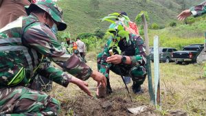 Kodim 0205/TK Tanam 1000 Pohon di Pinggiran Danau Toba