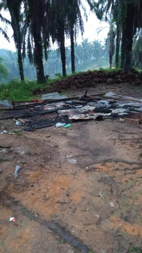 Okor Ginting Desak Polisi Segera Tangkap Mey Hendra Cs 2 Okor