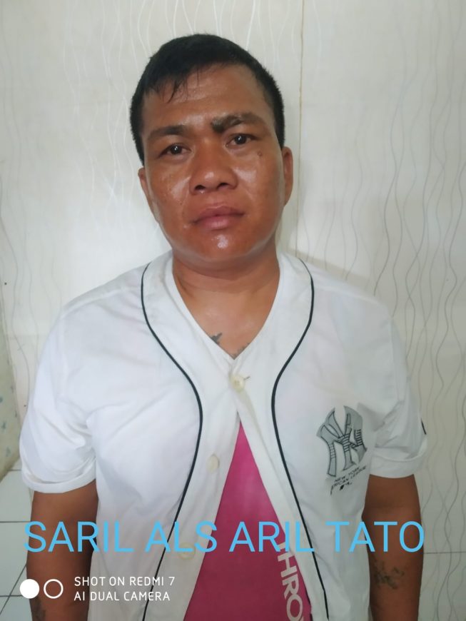 Aril Tato