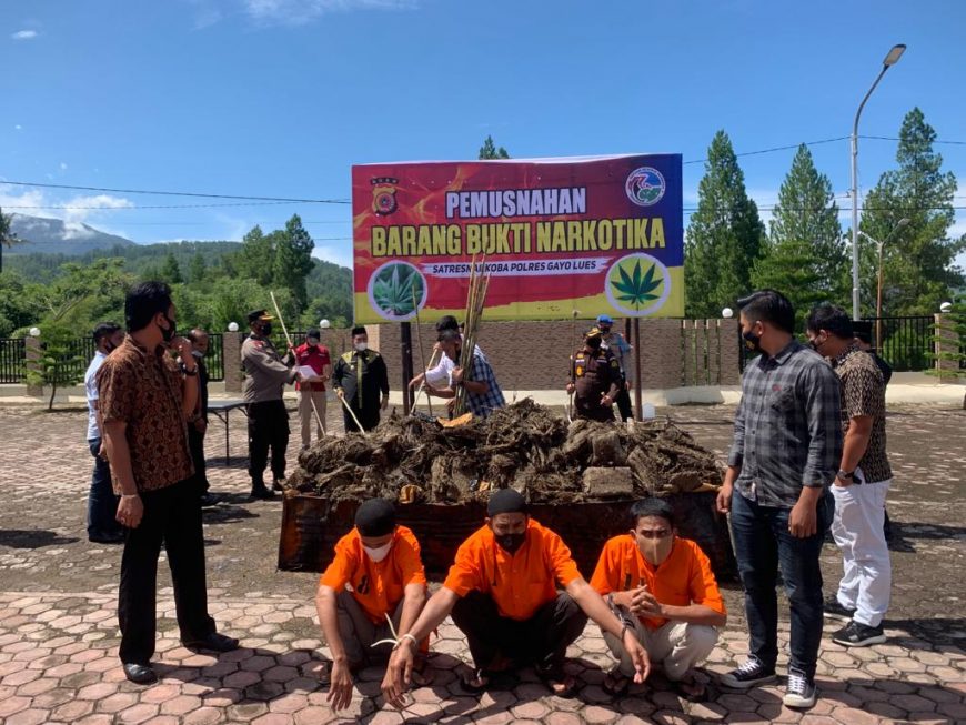 Polres Galus Bakar 158 Kg Ganja, Kesannya Tak Pernah Habis Meski Terus Dimusnahkan 3 IMG 20211125 WA0160