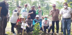 Penghijauan di Bantaran Sungai Deli, CCEP Berkolaborasi Tanam Ribuan Pohon