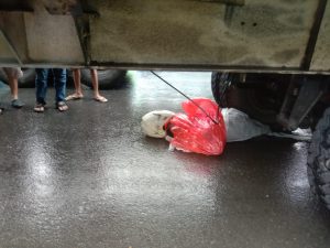 Tragis! Tewas Terlindas Truk Kontainer