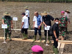 Tanam Mangrove di HUT 18 Brigif 4 Marinir/BS, Adhan Nur: Bakau Adalah Rumah Biota Laut