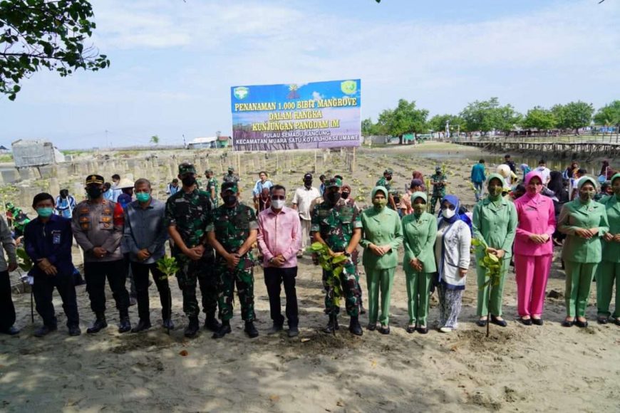 Atasi Kehilangan Daratan, Pemko Lhokseumawe Tanam 1000 bibit Mangrove