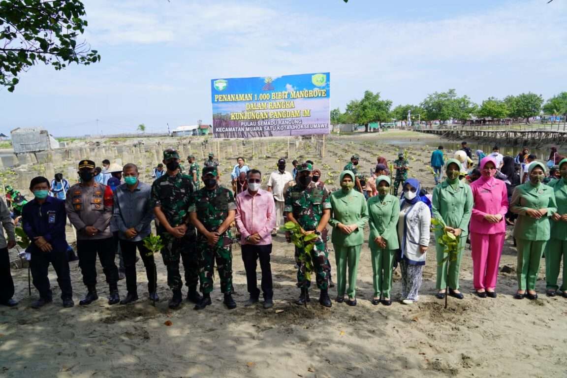 e6c3b8f7 e952 45d5 bb6b 92c7ba51eb5e