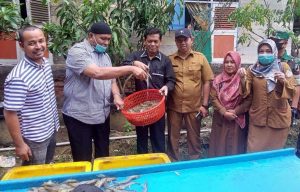 Wakil Walikota Lhokseumawe Panen Perdana Udang Vaname Sistem Bioflok