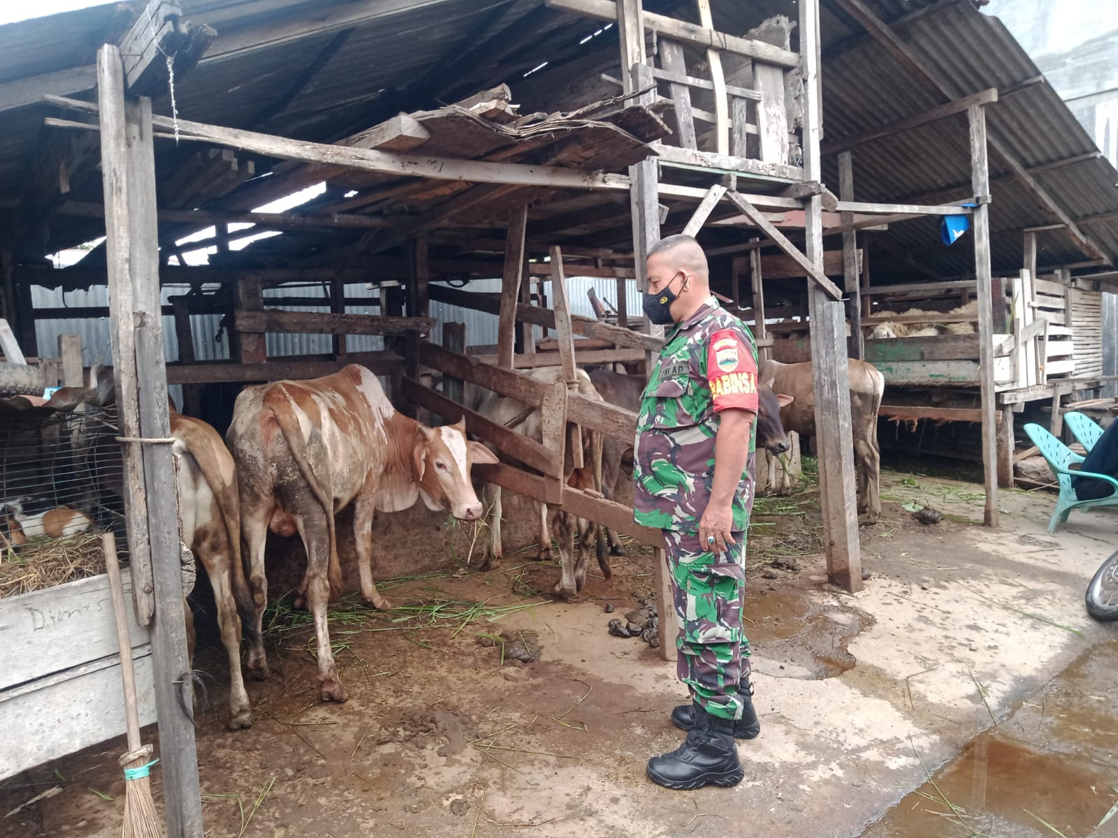 Anggota Babinsa Koramil 0201 11MD Serda Gunadi