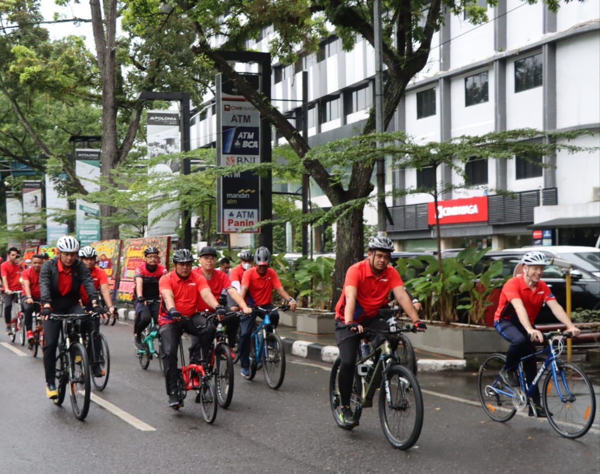 GOWES
