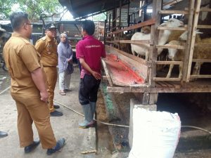Lurah Tegur Peternak Kambing di Pemukiman Warga