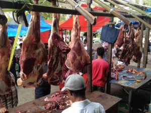 Sambut Meugang dan Hari Raya Qurban, Pemko Lhokseumawe Terbitkan Surat Bebas PMK