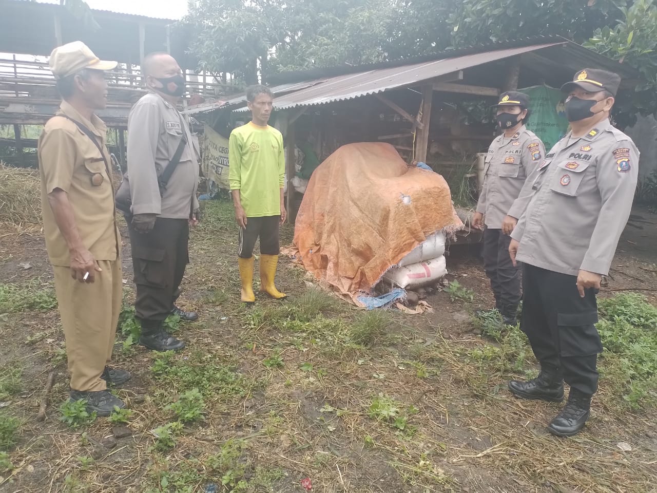 Polrestabes Medan Turun Tangan Cek Kondisi Hewan Ternak Antisipasi PMK