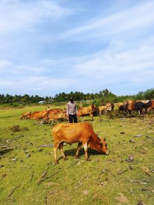 Cegah PMK, Polres Aceh Utara Lakukan Pengecekan Dan Pengawasan Hewan Ternak Milik Warga