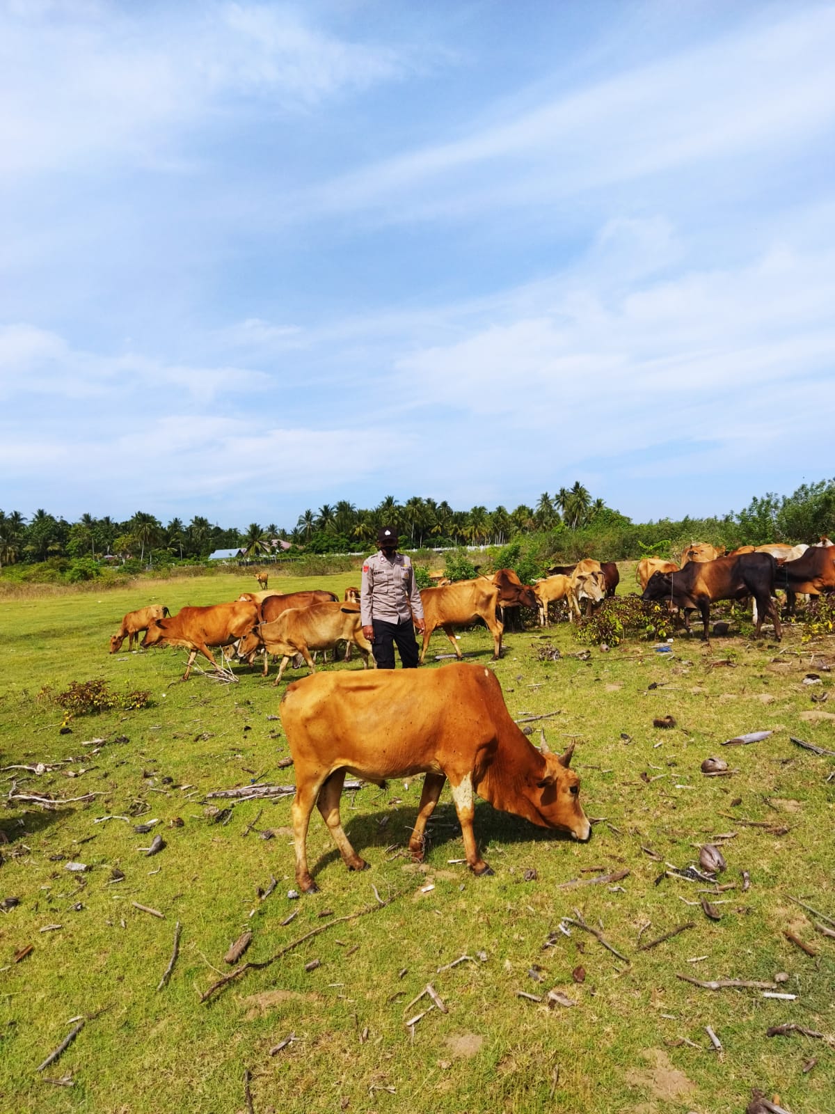 02e279e3 4b55 4a7f 8bc1 69ef0de75156