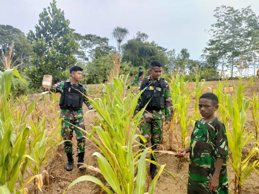 Personel Satgas Yonif 126/KC Bantu Tingkatkan Ketahanan Pangan Bersama Masyarakat di Perbatasan Papua