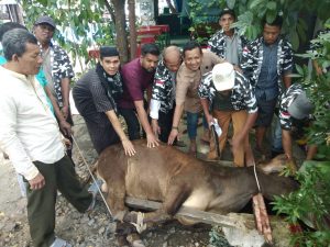 Ketua HIPMI Sumut Bersama Ketua Bapera Sumut Sembelih 2 Ekor Hewan Qurban di Warkop Jurnalis 4 Bapera
