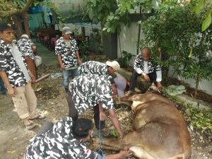 Ketua HIPMI Sumut Bersama Ketua Bapera Sumut Sembelih 2 Ekor Hewan Qurban di Warkop Jurnalis 5 Bapera 1 1