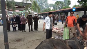 Hari Raya Idul Adha 1443 H, Kejati Sumut Sembelih 9 Ekor Hewan Kurban 4 Kajatisu 1 1