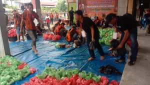 Idul Adha 1443 H, PAC PP Medan Area Qurban 6 Ekor Lembu & 2 Kambing