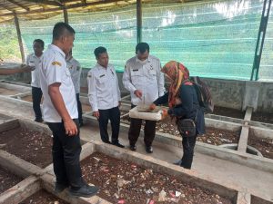 PUD Pasar Medan dan Apemda Percepat Kembangkan Budidaya Maggot di Pasar Induk Laucih