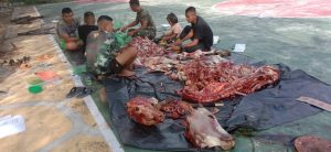 Rayakan Idul Adha 1443 H, Yonif Mekanis 121/MK Bagi Daging Qurban Sapi Kepada Masyarakat