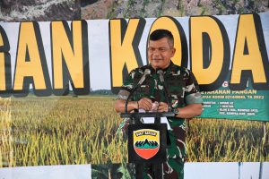 Kolaborasi Pangdam Bersama Wamentan RI Canangkan Demplot Ketahanan Pangan Kodam I/BB Seluas 113,59 Hektar di Tuntungan