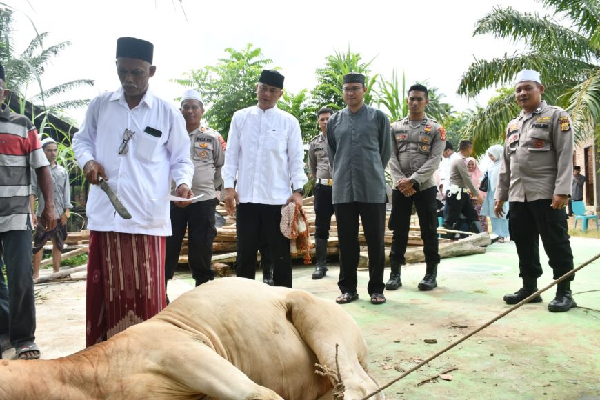 Kapolres Aceh Timur Serahkan 2 Sapi Untuk Diqurbankan ke Dayah Baitul Huda, Peudawa