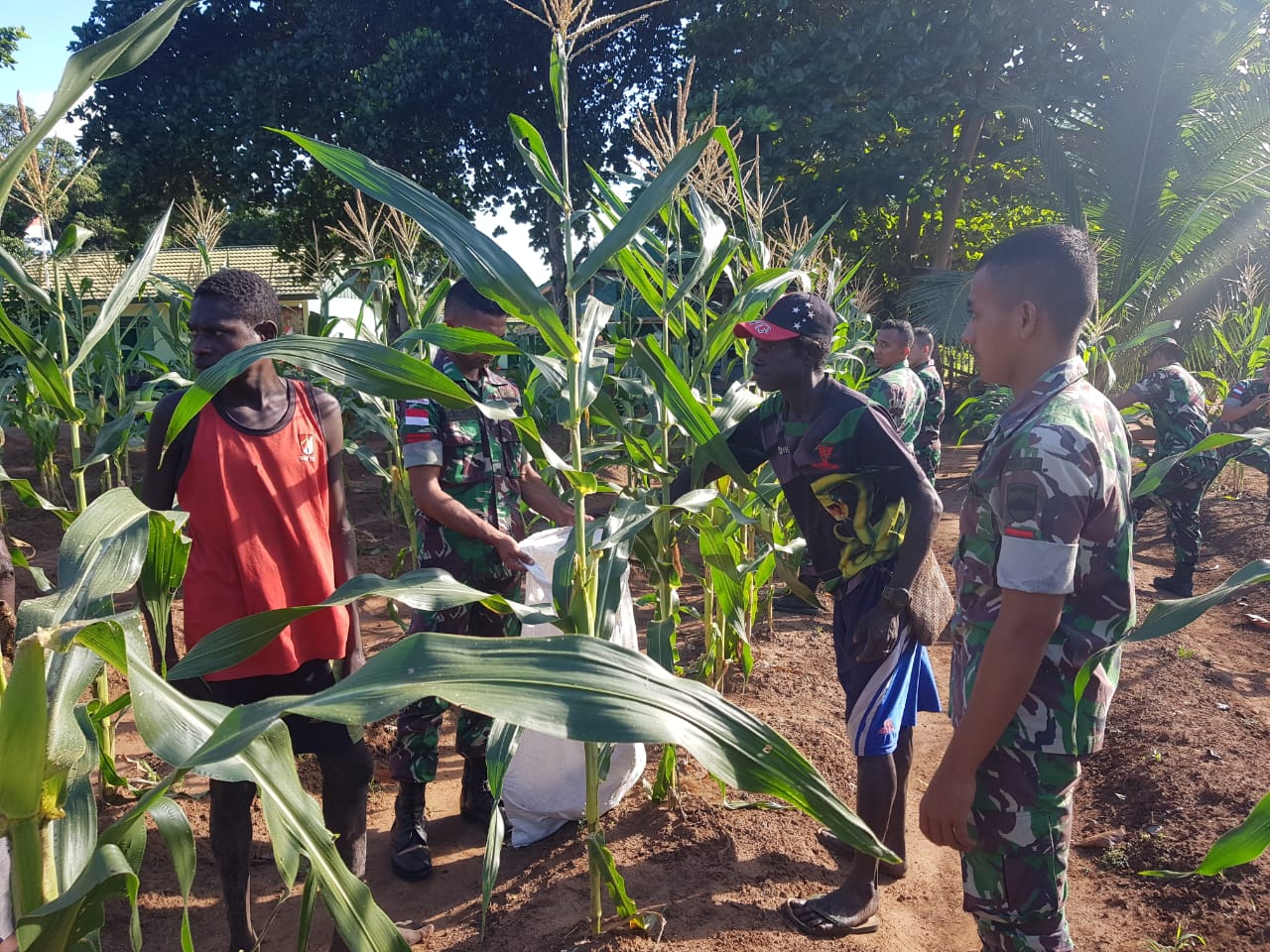 c8418156 13e8 421e 8174 78d057ce8427