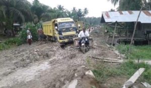 Jalan Rusak Parah, LIPPSU Desak Pemprov Sumut Dan Kabupaten Bersama Aparat Penegak Hukum Untuk Bentuk Tim Selamatkan Alam