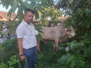 Sambut Idul Adha 1443 H, Pewarta Polrestabes Medan Akan Sembelih 3 Ekor Lembu
